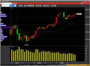 平成30年8月29日(水)日経平均月足