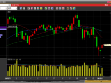 平成31年1月11日(金)日経週足