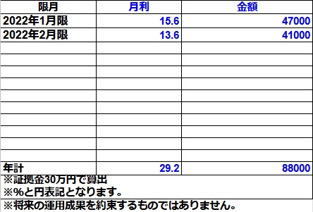 オプションライトコース2022年実績（30万円）
